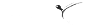 Zest_Logo_Customer_white