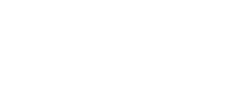 twelvesouth_logo_customer_white