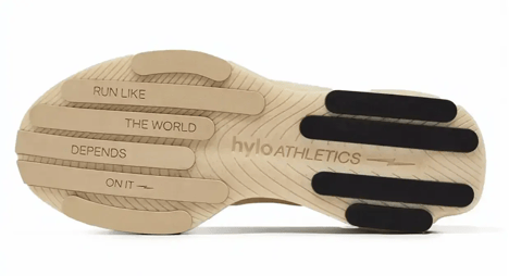 Hylo The Impact Statement_-1